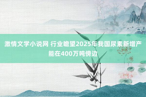 激情文学小说网 行业瞻望2025年我国尿素新增产能在400万吨傍边