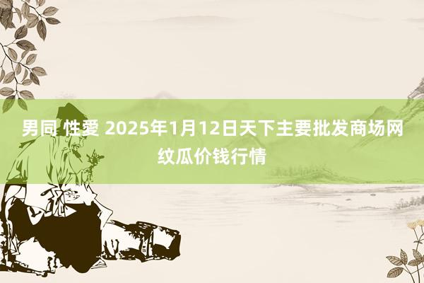 男同 性愛 2025年1月12日天下主要批发商场网纹瓜价钱行情