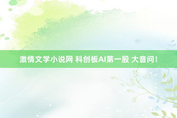 激情文学小说网 科创板AI第一股 大音问！