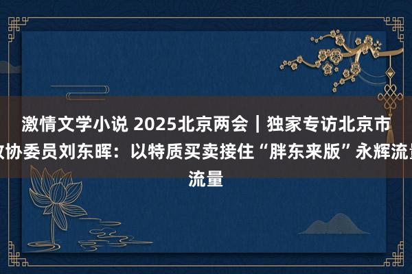 激情文学小说 2025北京两会｜独家专访北京市政协委员刘东晖：以特质买卖接住“胖东来版”永辉流量