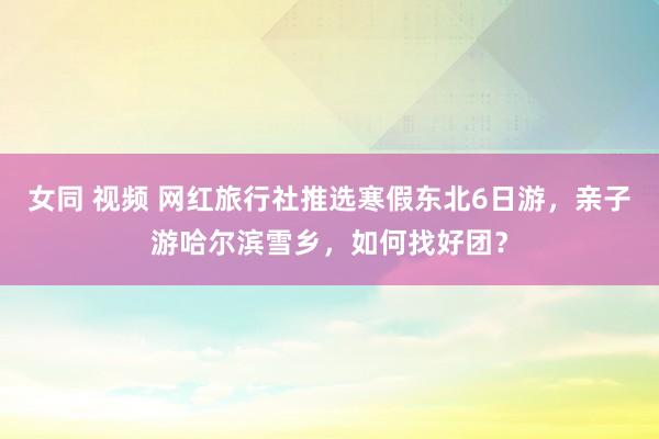 女同 视频 网红旅行社推选寒假东北6日游，亲子游哈尔滨雪乡，如何找好团？