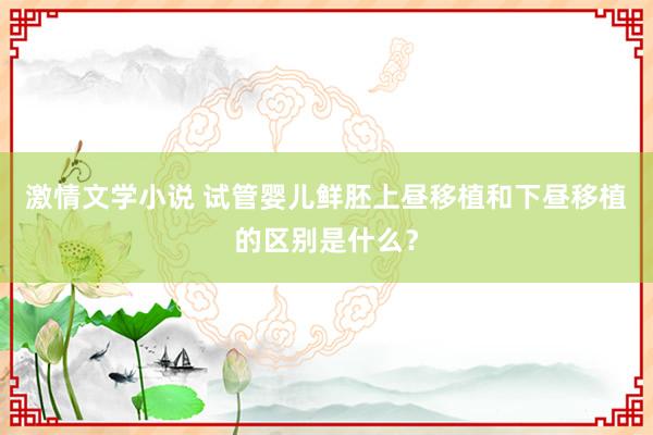 激情文学小说 试管婴儿鲜胚上昼移植和下昼移植的区别是什么？