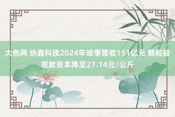 大色网 协鑫科技2024年竣事营收151亿元 颗粒硅现款资本降至27.14元/公斤