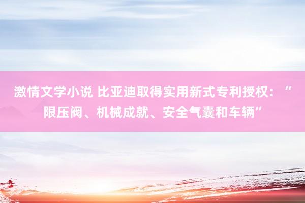 激情文学小说 比亚迪取得实用新式专利授权：“限压阀、机械成就、安全气囊和车辆”