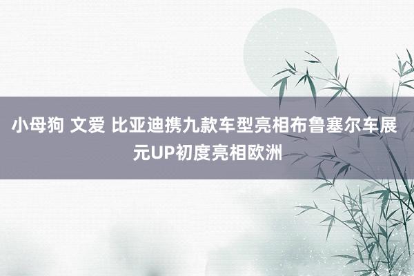 小母狗 文爱 比亚迪携九款车型亮相布鲁塞尔车展 元UP初度亮相欧洲