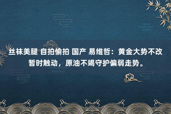 丝袜美腿 自拍偷拍 国产 易维哲：黄金大势不改暂时触动，原油不竭守护偏弱走势。