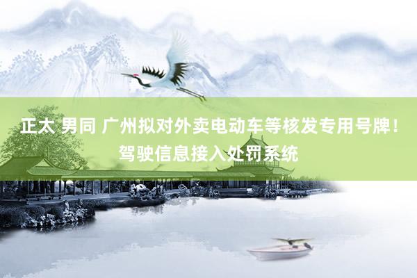 正太 男同 广州拟对外卖电动车等核发专用号牌！驾驶信息接入处罚系统